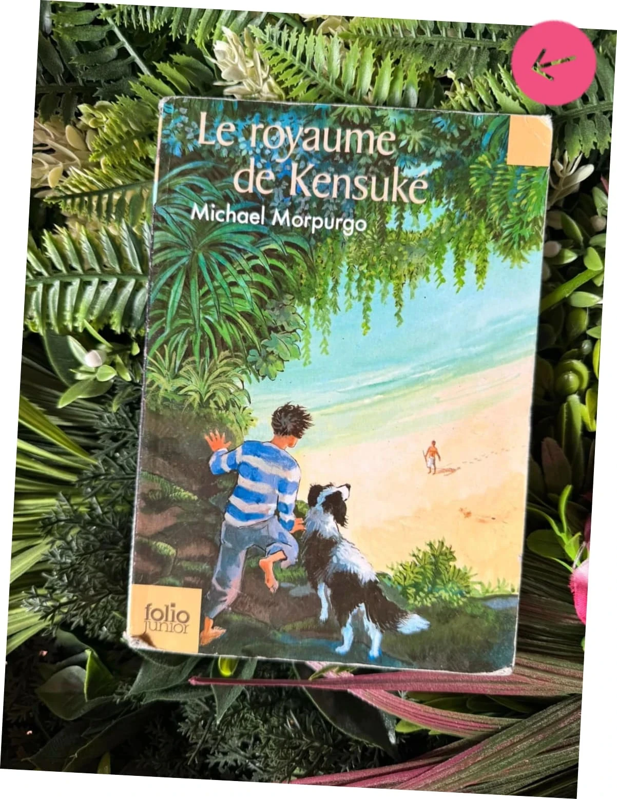 Livre le royaume de kenzuke bien servie – photo 2